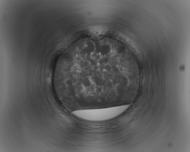 X0000093740315200711061030