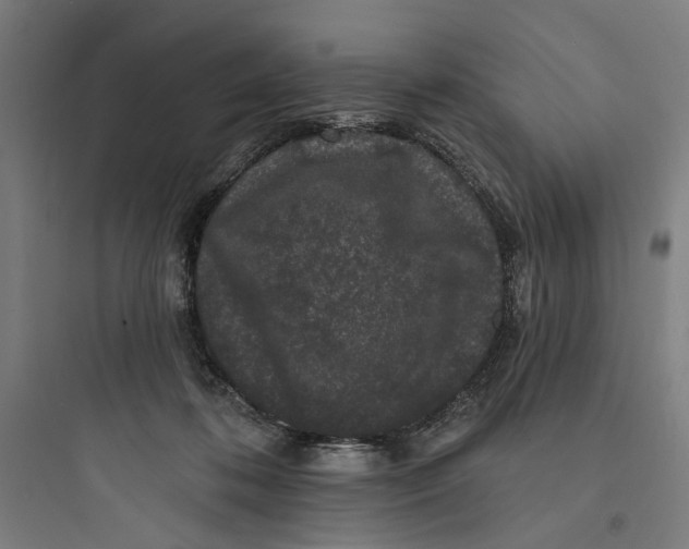 X0000093740316200711061030