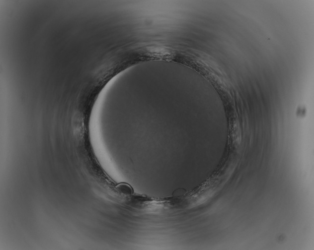 X0000093740320200711061030