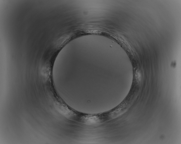 X0000093740322200711061030