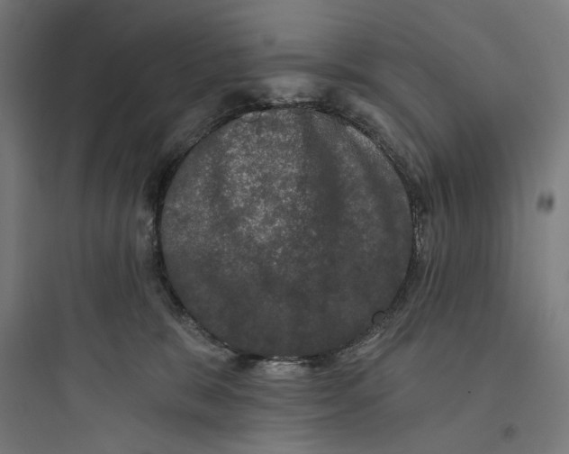 X0000093740327200711061030