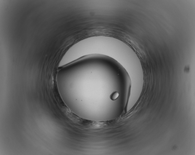 X0000093740333200711061030