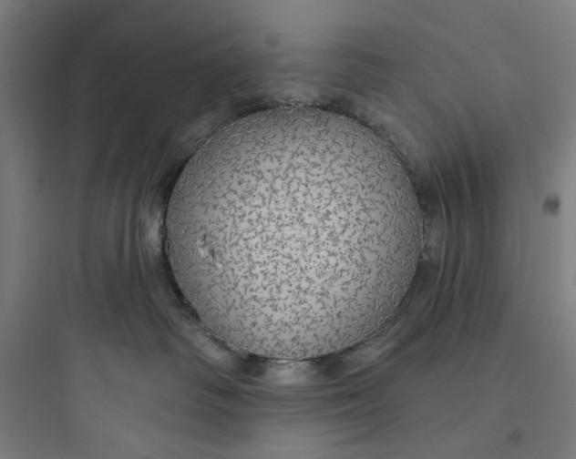 X0000093740334200711061030