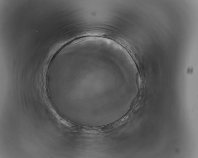 X0000093740337200711061029