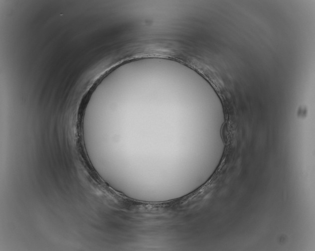 X0000093740338200711061029