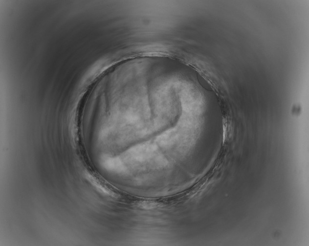 X0000093740339200711061029