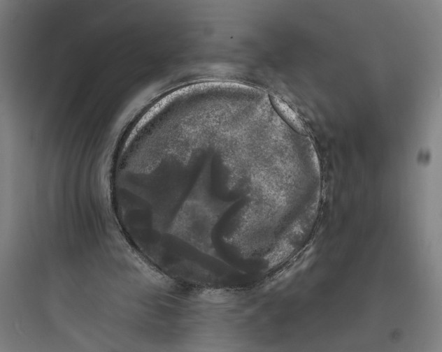 X0000093740341200711061029