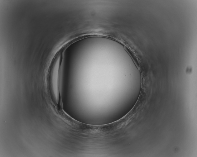 X0000093740344200711061029