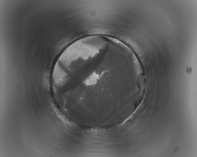 X0000093740345200711061029