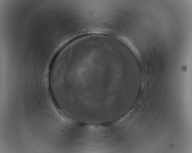 X0000093740346200711061029