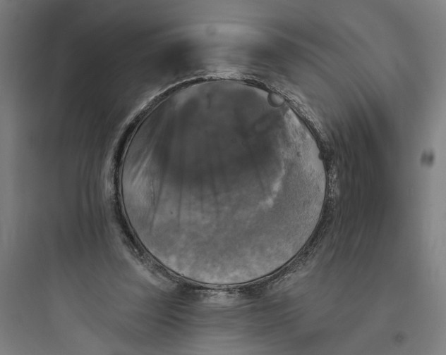 X0000093740347200711061029