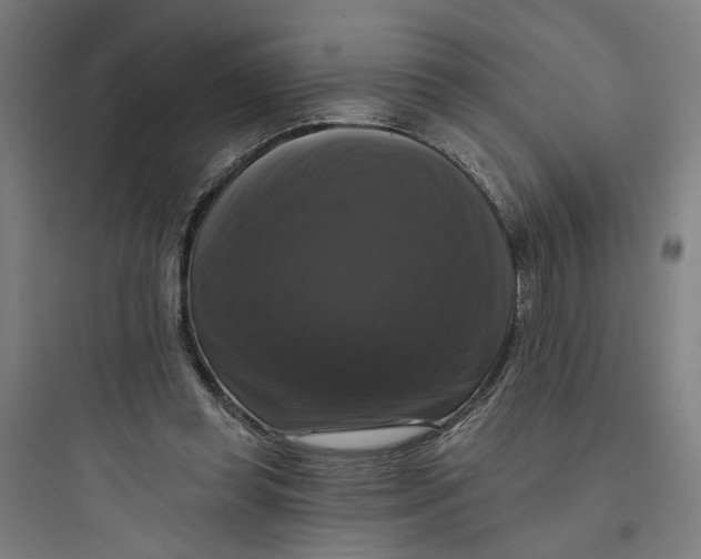 X0000093740349200711061029