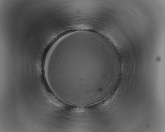 X0000093740351200711061029