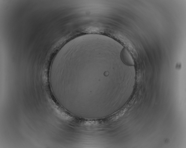 X0000093740353200711061029