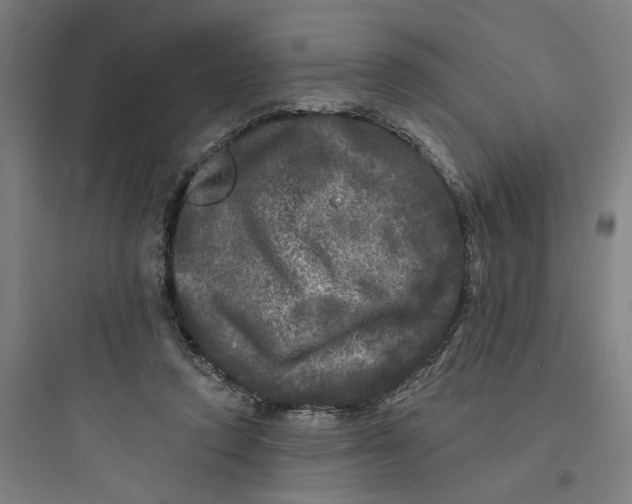 X0000093740354200711061029