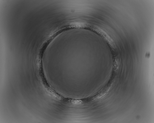 X0000093740355200711061029