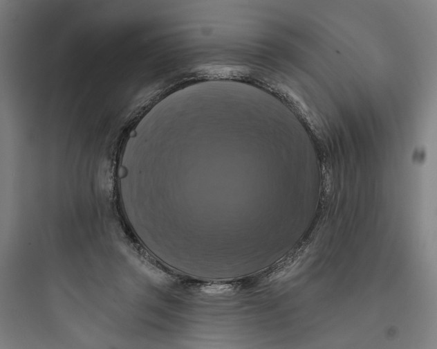 X0000093740357200711061029