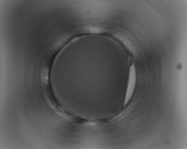 X0000093740358200711061029