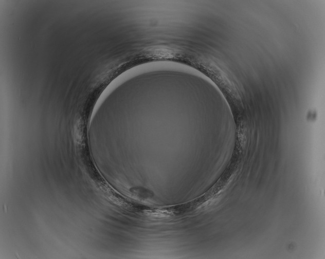 X0000093740359200711061029