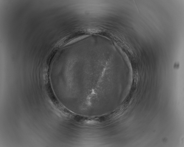 X0000093740360200711061029