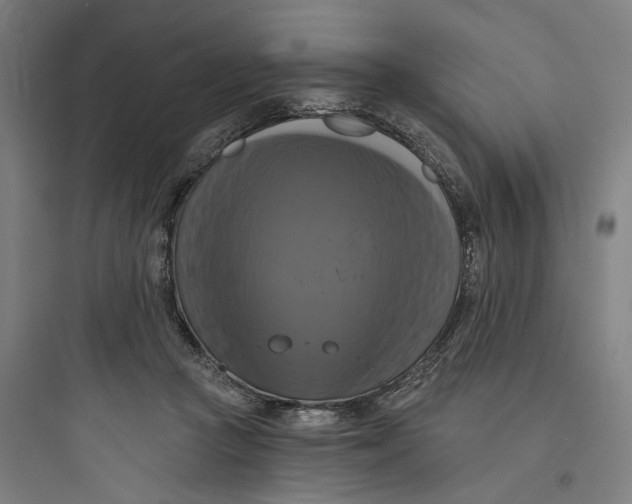 X0000093740361200711061029