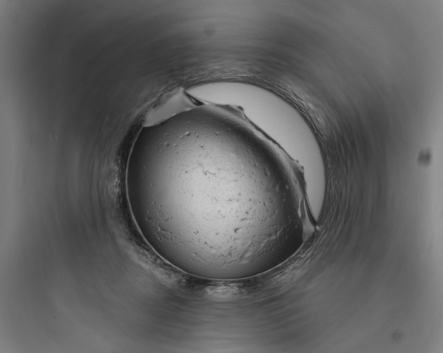 X0000093740362200711061029