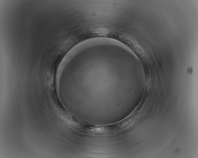 X0000093740365200711061029