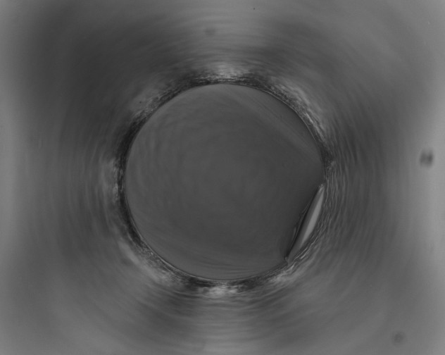 X0000093740366200711061029