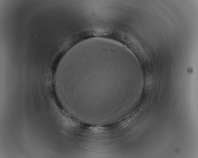 X0000093740367200711061029