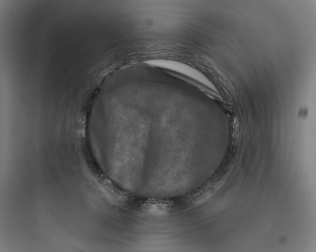 X0000093740368200711061029