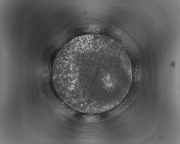 X0000093740370200711061030