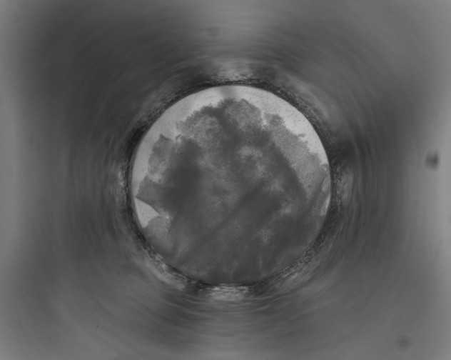 X0000093740373200711061030