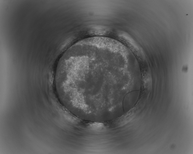 X0000093740374200711061030