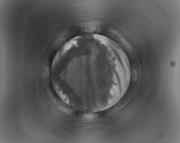 X0000093740375200711061030