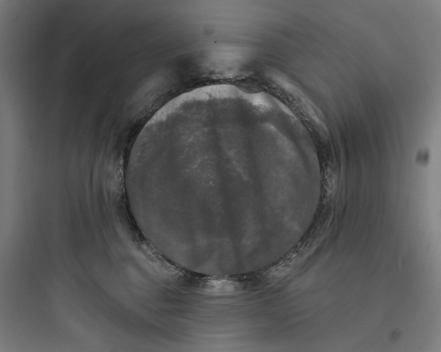 X0000093740376200711061030