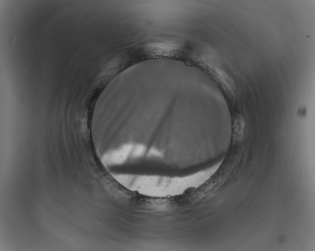 X0000093740377200711061030