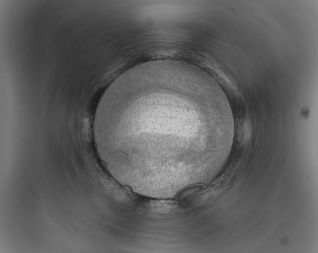 X0000093740378200711061030