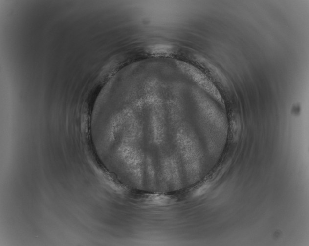 X0000093740379200711061030