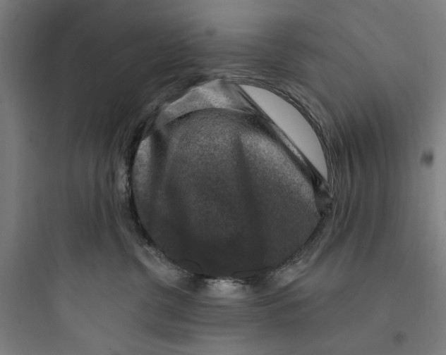 X0000093740380200711061030