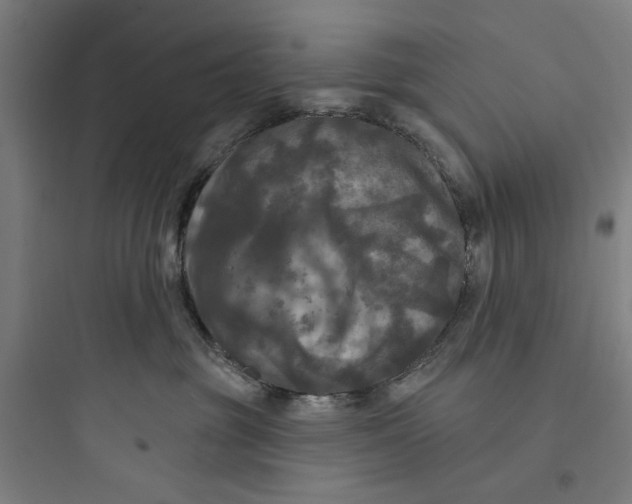 X0000093740381200711061030