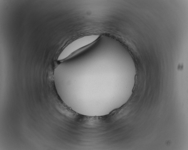 X0000093740384200711061030