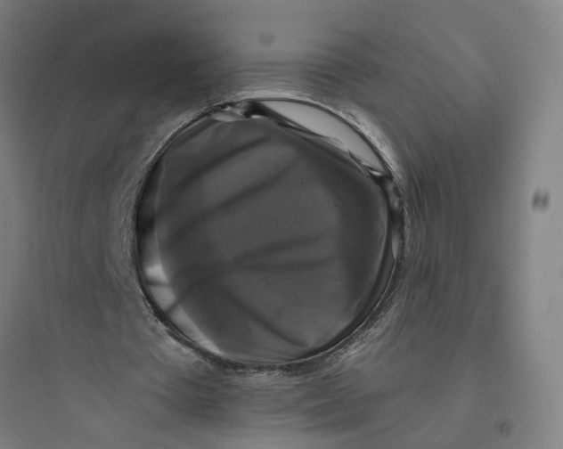 X0000093740385200711061029