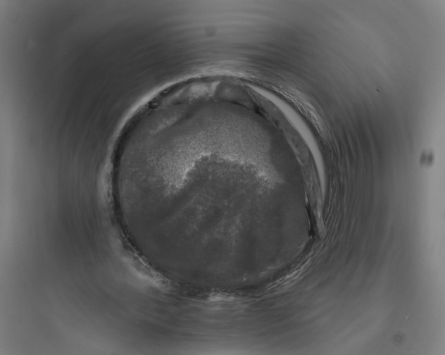 X0000093740388200711061029