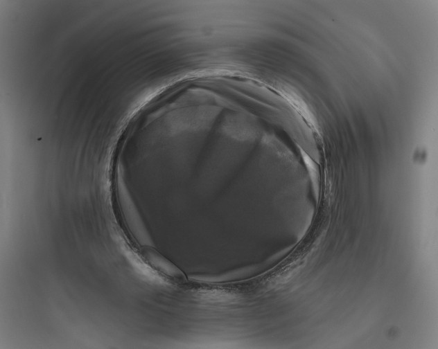 X0000093740389200711061029