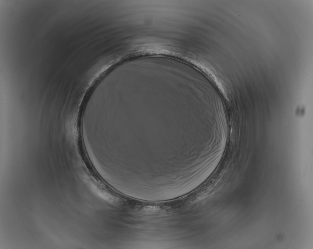 X0000093740390200711061029