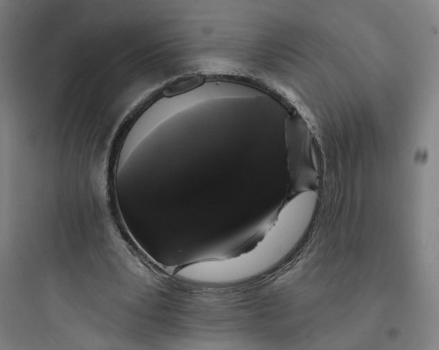 X0000093740391200711061029