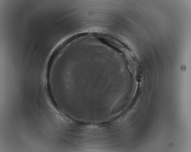 X0000093740392200711061029