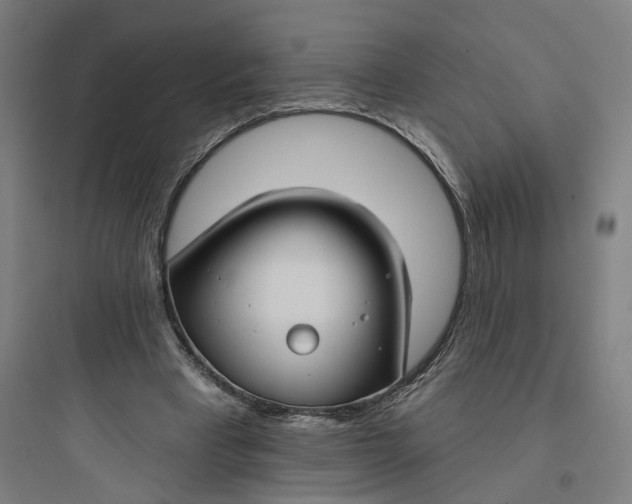 X0000093740393200711061029