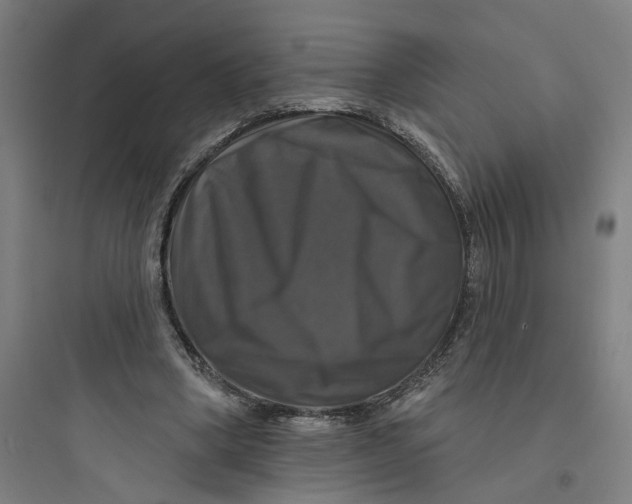 X0000093740394200711061029