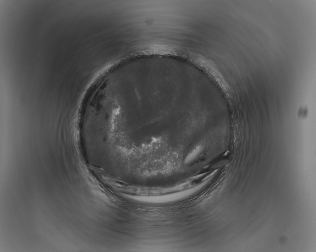 X0000093740395200711061029